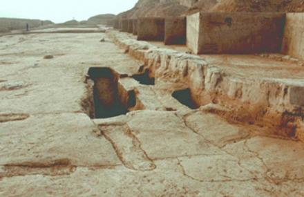 定西西堡子古遗址