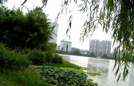 武汉菱角湖公园