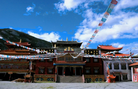 甘孜州巴姆山园林