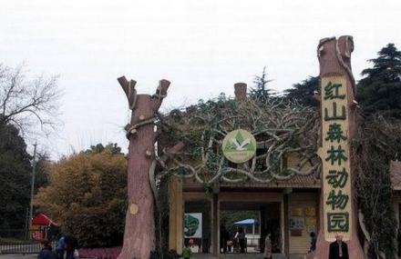 南京红山森林动物园