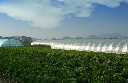 杭州浙江省农业高科技示范园区