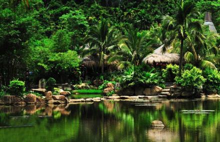 三亚呀诺达热带雨林