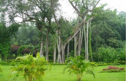 牡丹江春城园艺示范园