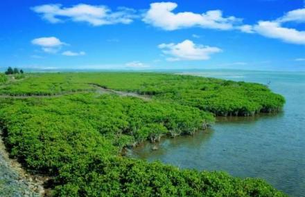 防城港北仑河口国家级自然保护区