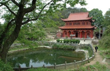 黔南野梅岭森林公园