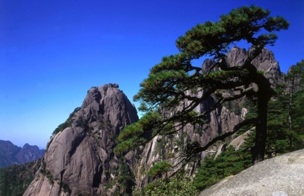 珠海石景山公园