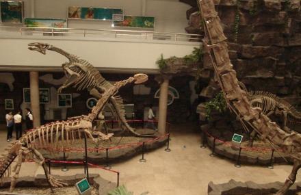 伊春小兴安岭恐龙博物馆