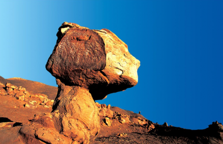 昌吉恐龙国家地质公园