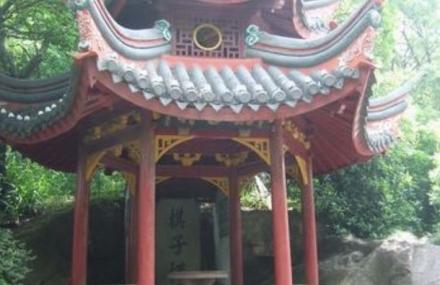 宁波棋子枰