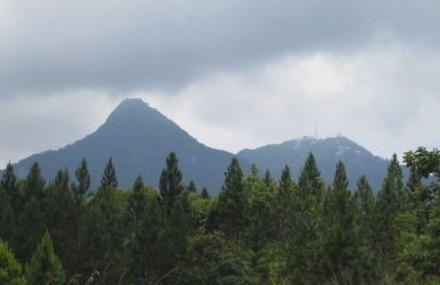 朔州杨莫岭森林公园