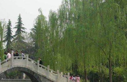 自贡龙凤山公园