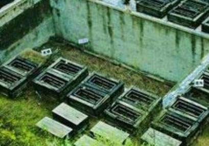 宝鸡秦公一号大墓