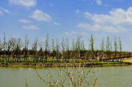 上海光明瑞华果园