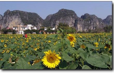 南宁不孤村人文景观