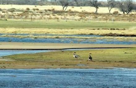 渭南三河湿地自然保护区