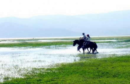 丽江拉市海纳西古马场