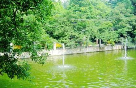 信阳报晓峰景区