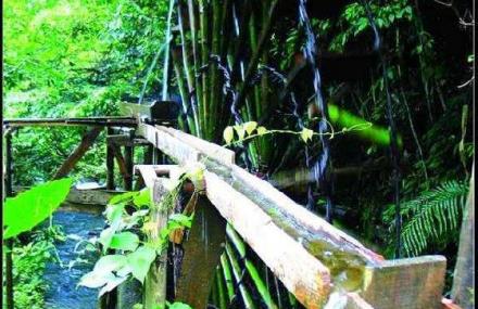 肇庆奇趣水车群