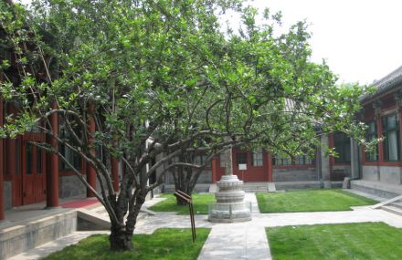 北京宋庆龄故居