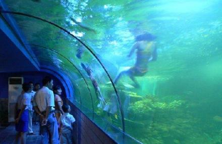 琼海美女戏鲨群