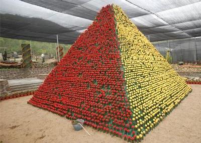 三亚仙人植物园