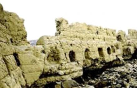 长春农安古塔遗址