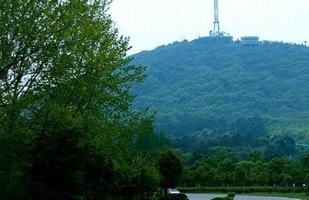 合肥大蜀山森林公园