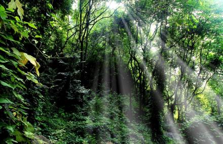 石家庄藤龙山原生态自然风景区