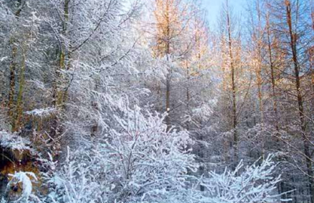 太原城市人工森林公园