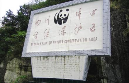 绵阳片口自然保护区