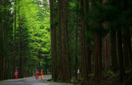 恩施坪坝营原生态休闲旅游区