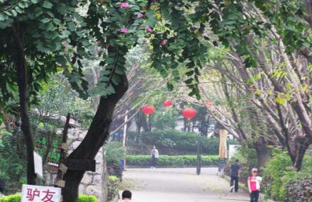 珠海板障山森林公园