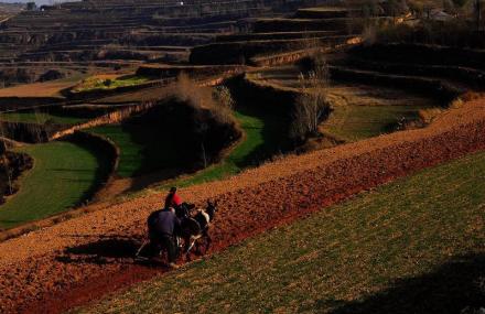 平凉庄浪梯田
