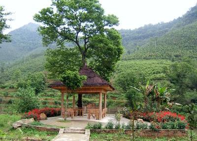 韶关后洞生态园