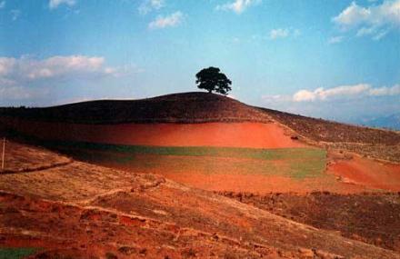 昆明东川红土地