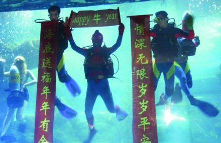 武汉潜水表演剧场