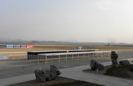 烟台养马岛赛马场