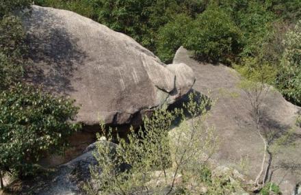 黄山猪八戒吃西瓜