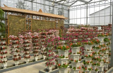 苏州巴城生态观光园