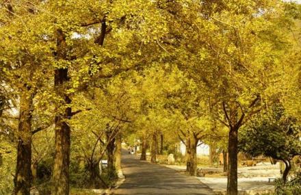 湖州金钉子远古世界