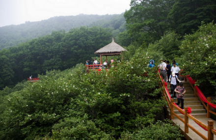 秦皇岛花果山