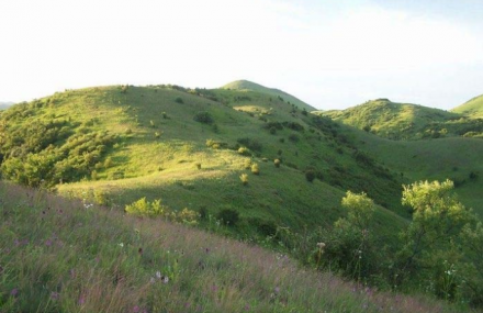 安康正阳大草原