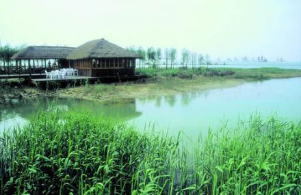 无锡太湖新天地湿地公园