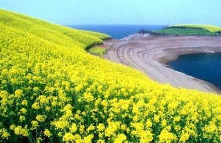 十堰汉江丹江口库区