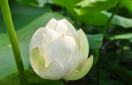 临汾双龙湖湿地公园