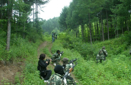 廊坊匹特博真人cs