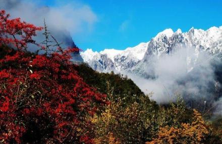 成都西岭森林公园