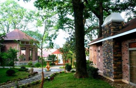 黄山东黄山农林公园