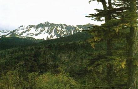 临沂苍山自然保护区