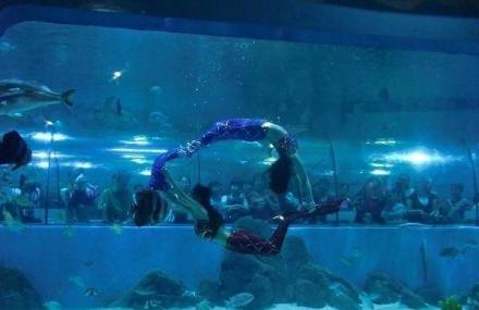 武汉美人鱼表演剧场